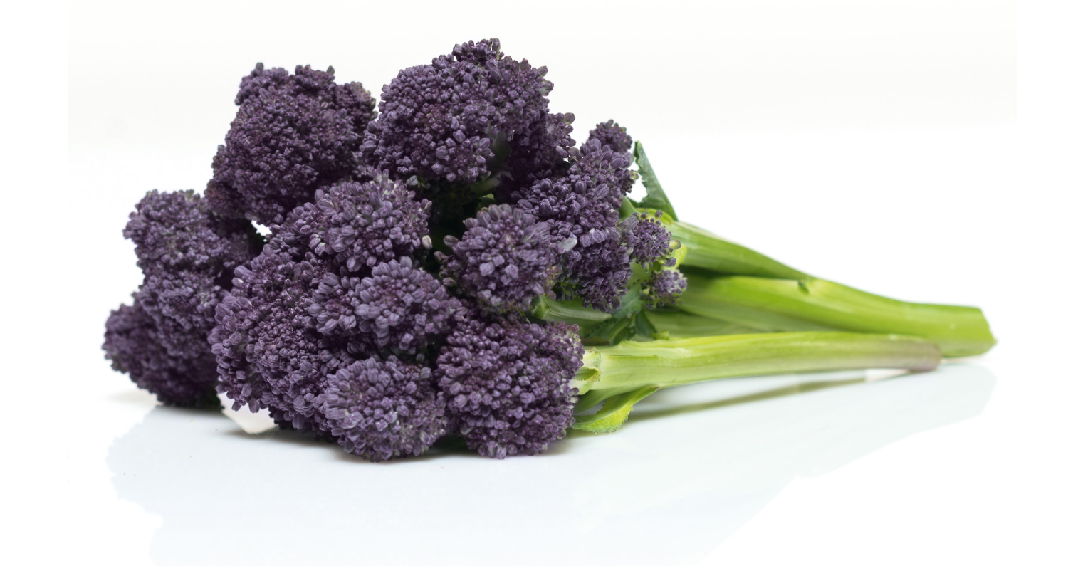 Vegetable Culinary Evaluations for Bejo