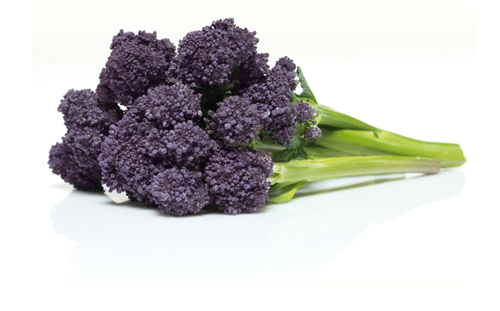 Redi broccoli